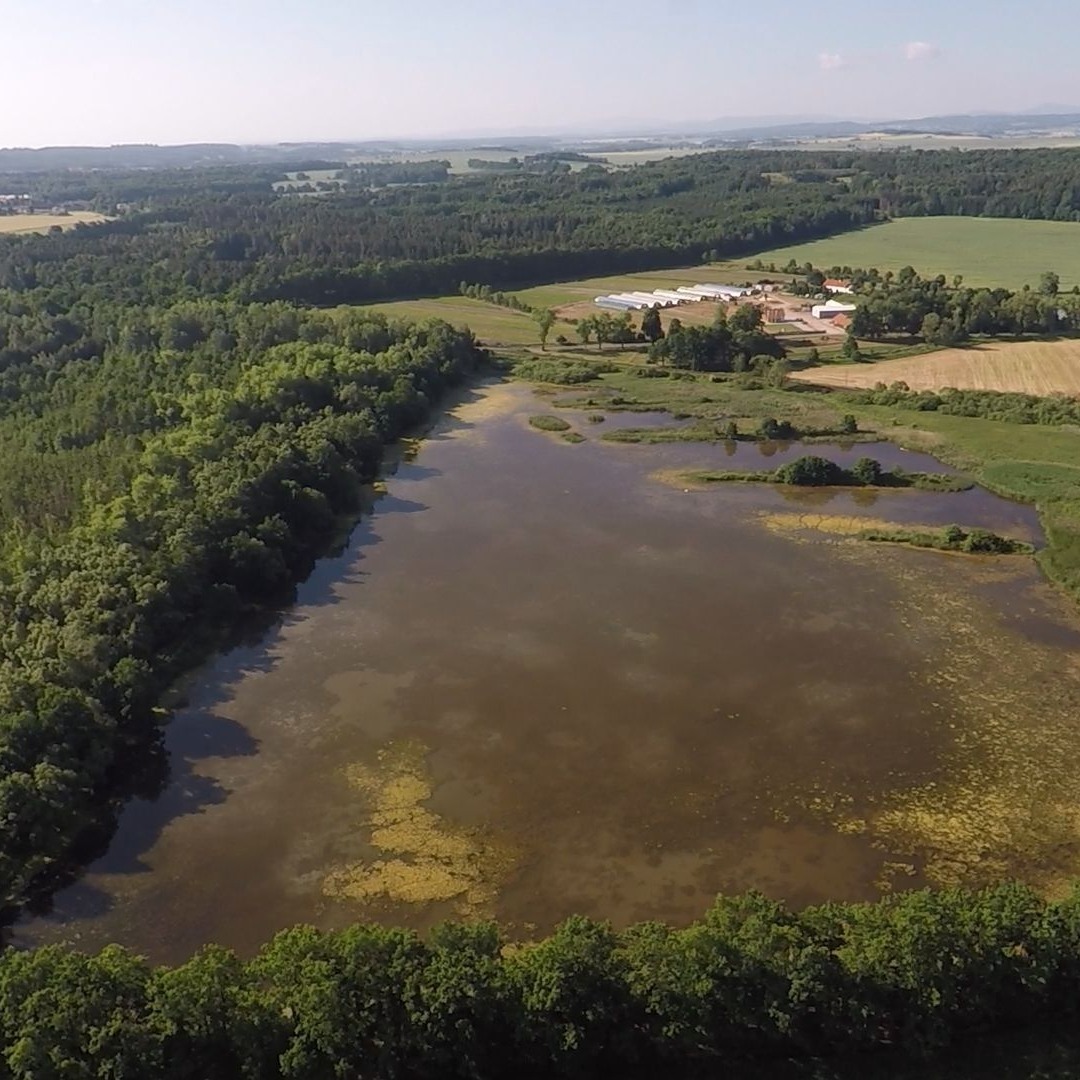 Revitalizace rybníka Skalský u Protivína