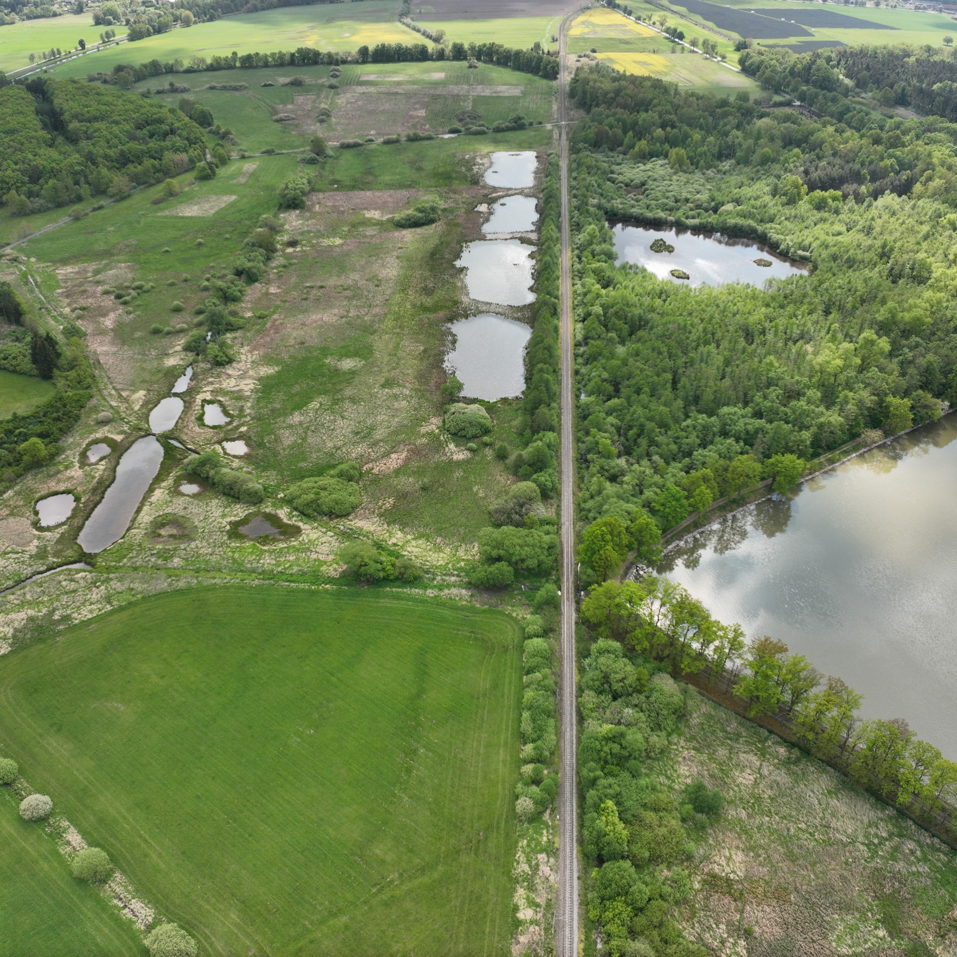 Obnova mokřadu Klokočínské louky k.ú. Skály u Protivína
