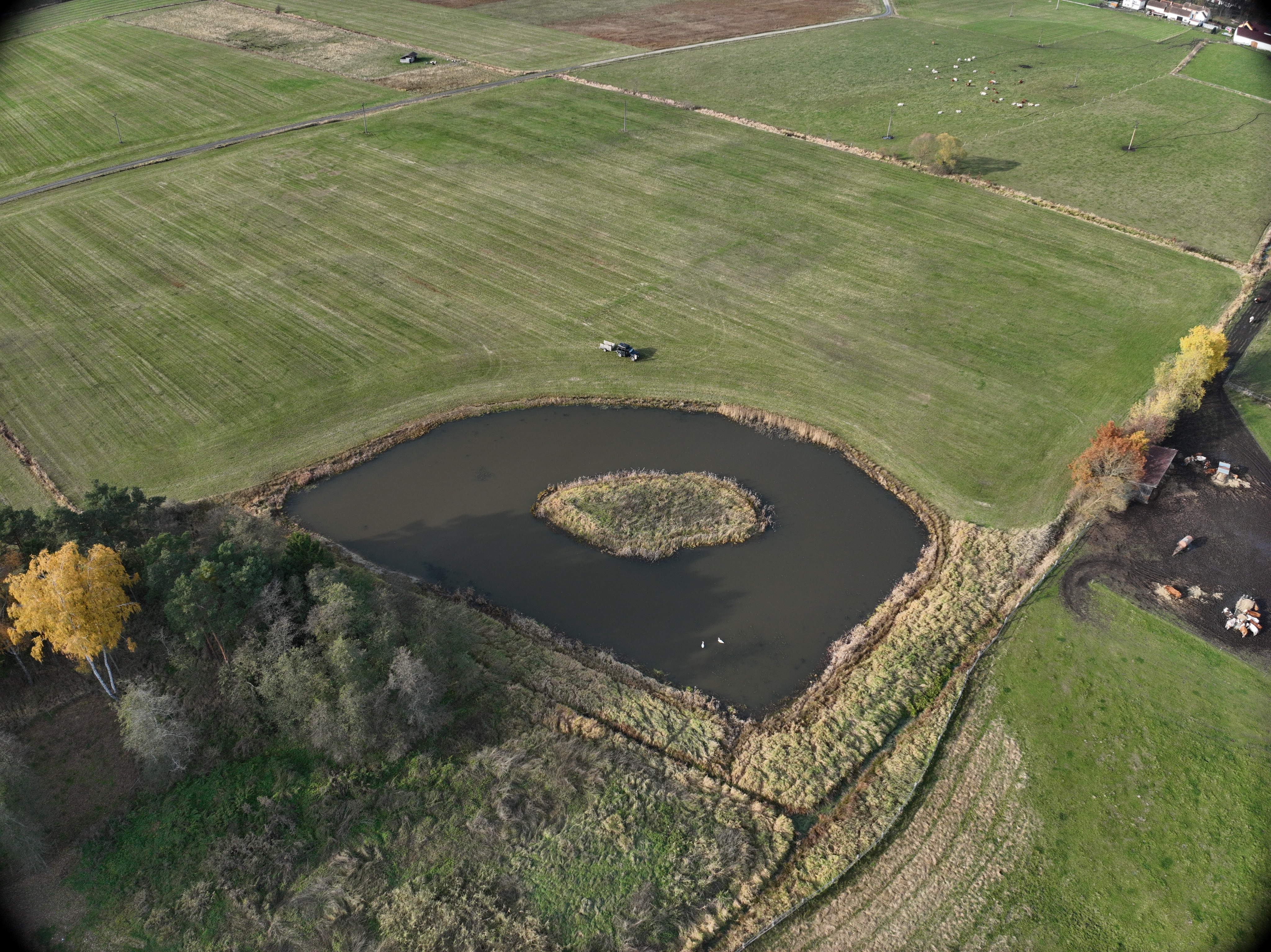 Tůň s ostrovem v rámci RBC Blanice pod Rabyní