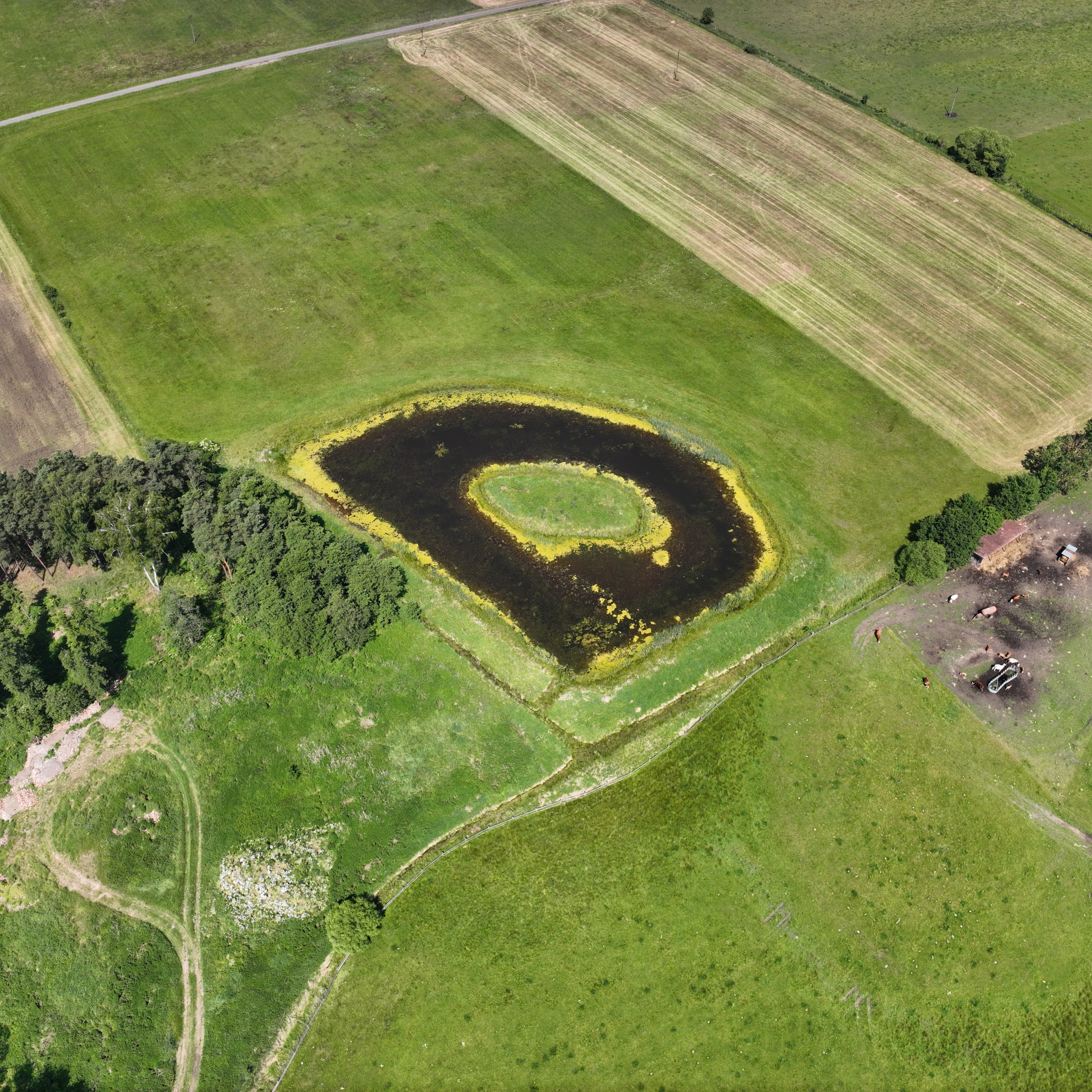 Tůň s ostrovem v rámci RBC Blanice pod Rabyní