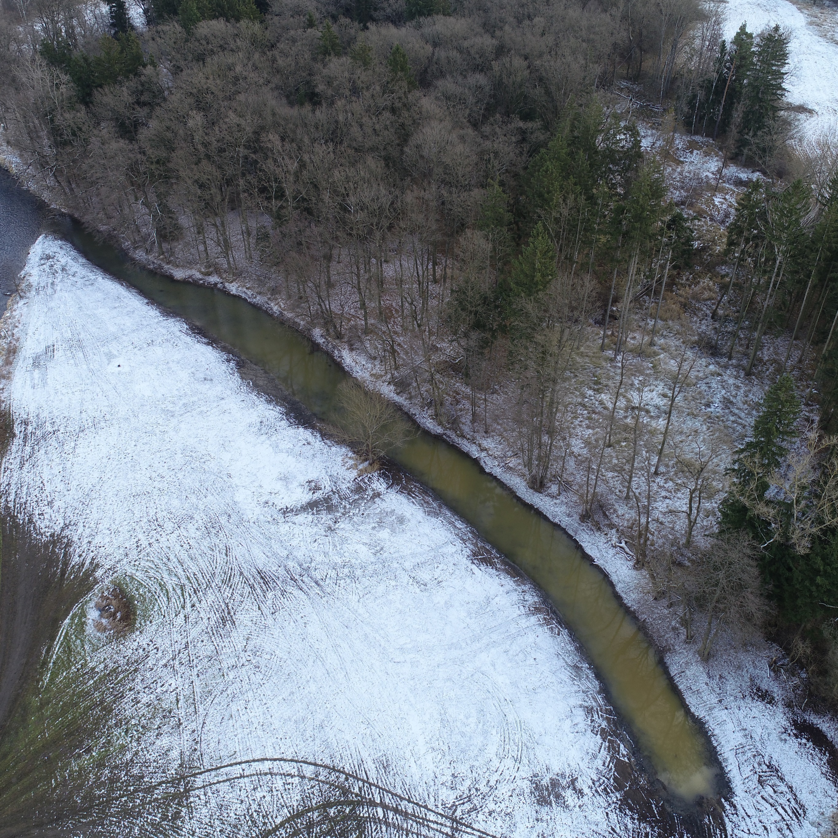 Revitalizace slepého ramene Bažantnice