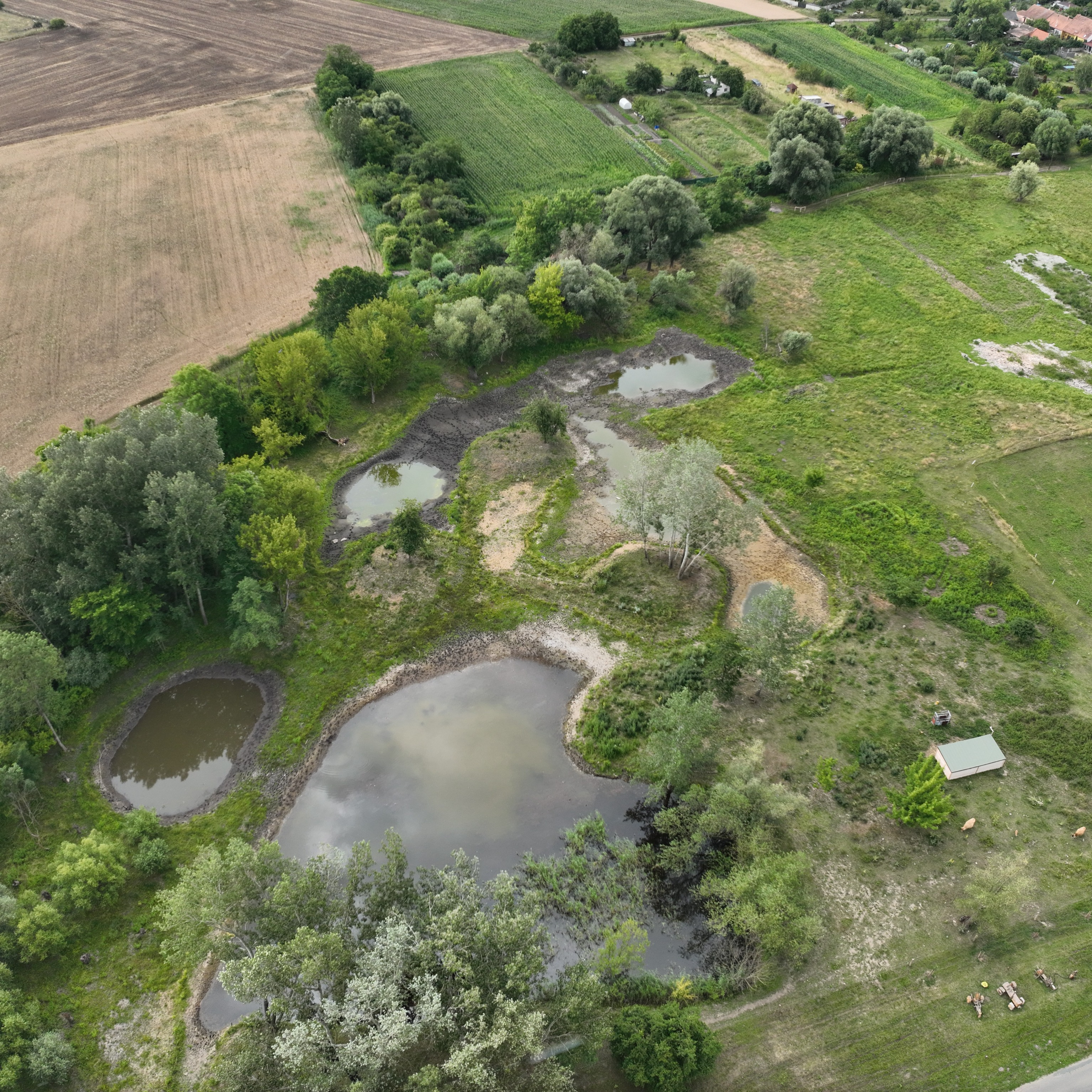 Obnova lokality Slanisko Novosedly