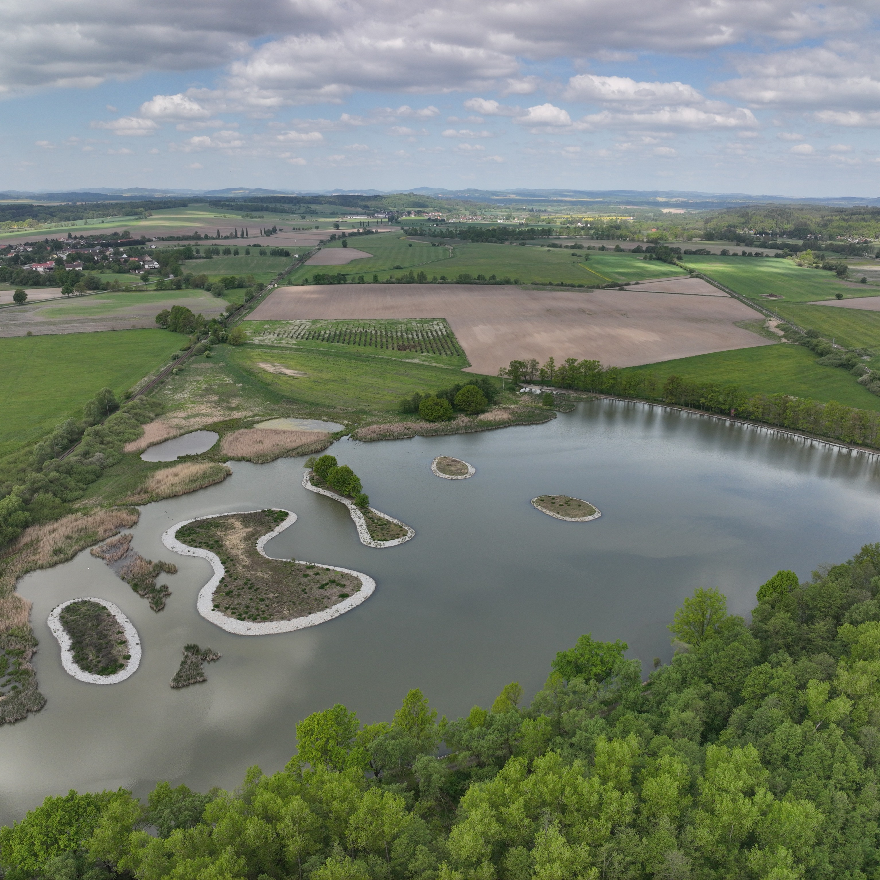 Revitalizace rybníka Skalský u Protivína